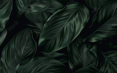 التوافق بين الأبراج في الحب والصداقة 2026