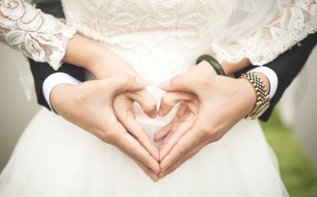 السرطان والحوت: توأم الروح المائي