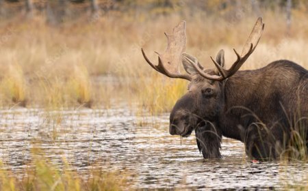 صفات برج السرطان الرجل