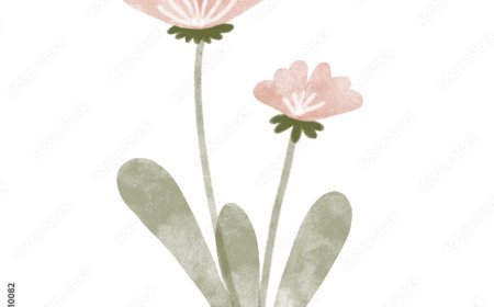 صفات برج الأسد المرأة