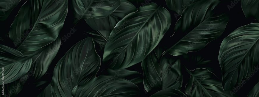 التوافق بين الأبراج في الحب والصداقة 2026